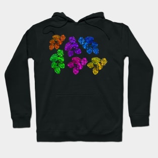 Colourful philodendron Hoodie